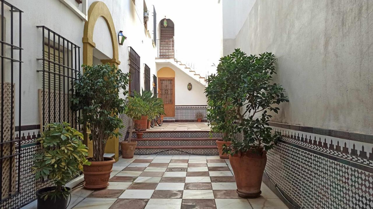科爾多瓦La Pequena Taifa Mezquita Catedral公寓 外观 照片